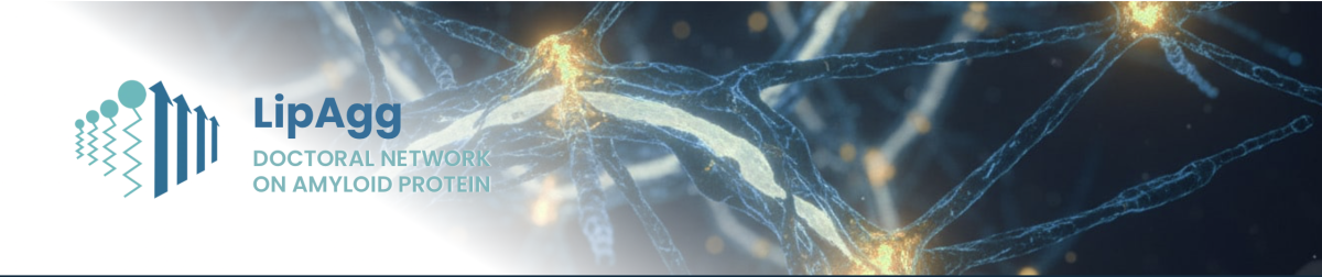 LipAgg MSCA Doctoral Network